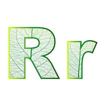 Set of eco Latin  letters texture leaf vein. Vector illustration. EPS 10.