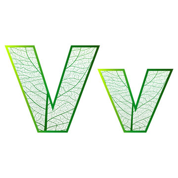 Set of eco Latin  letters texture leaf vein. Vector illustration. EPS 10.