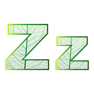 Set of eco Latin  letters texture leaf vein. Vector illustration. EPS 10.
