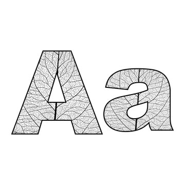 Set of eco Latin  letters texture leaf vein. Vector illustration. EPS 10.