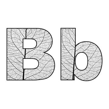 Set of eco Latin  letters texture leaf vein. Vector illustration. EPS 10.