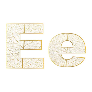 Set of eco Latin  letters texture leaf vein. Vector illustration. EPS 10.