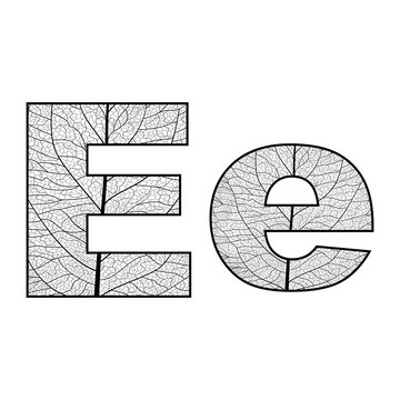 Set of eco Latin  letters texture leaf vein. Vector illustration. EPS 10.