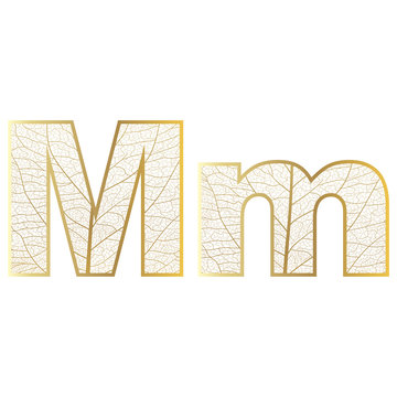 Set of eco Latin  letters texture leaf vein. Vector illustration. EPS 10.