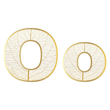 Set of eco Latin  letters texture leaf vein. Vector illustration. EPS 10.
