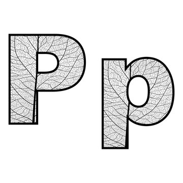 Set of eco Latin  letters texture leaf vein. Vector illustration. EPS 10.