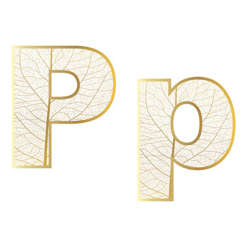 Set of eco Latin  letters texture leaf vein. Vector illustration. EPS 10.