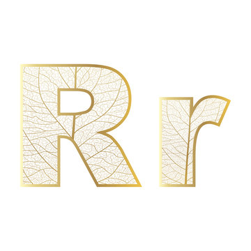 Set of eco Latin  letters texture leaf vein. Vector illustration. EPS 10.