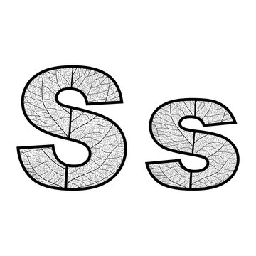 Set of eco Latin  letters texture leaf vein. Vector illustration. EPS 10.