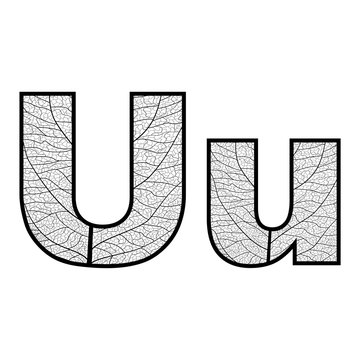 Set of eco Latin  letters texture leaf vein. Vector illustration. EPS 10.