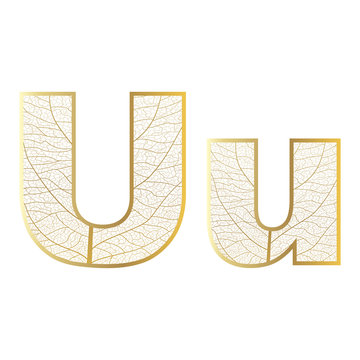 Set of eco Latin  letters texture leaf vein. Vector illustration. EPS 10.