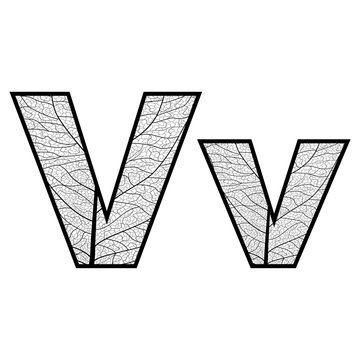 Set of eco Latin  letters texture leaf vein. Vector illustration. EPS 10.