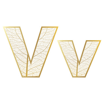 Set of eco Latin  letters texture leaf vein. Vector illustration. EPS 10.