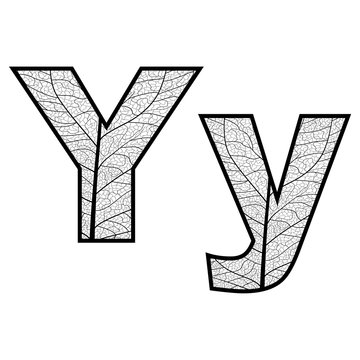 Set of eco Latin  letters texture leaf vein. Vector illustration. EPS 10.