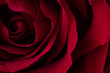 A close up macro shot of a red rose.