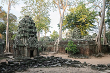 Asia, Cambodia, Siem Reap, UNESCO, World Heritage, Angkor, Ta Prohm