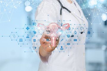 The doctor shows the uterus of a female .