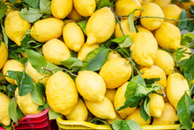 Wicker Basket Full Of Lemons On The Italian Street Od Corniglia