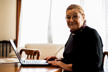 Wall Mural - senior woman working with laptop