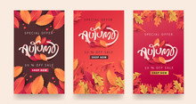 Autumn Sale Background Layout Decorate With Leaves For Shopping Sale Or Promo Poster And Frame Leaflet Or Web Banner.Vector Illustration Template.