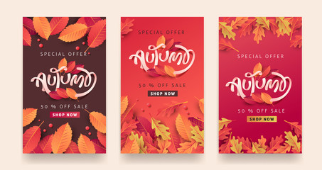 Wall Mural - autumn sale background layout decorate with leaves for shopping sale or promo poster and frame leafl
