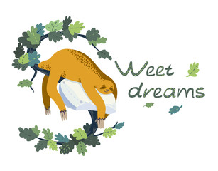 Cute sloth sleeping on pillow on branch leaves, on letter S. Vector illustration on isolated white background with text wishes sweet dreams.