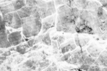 Poster - Subtle halftone vector marble texture overlay. Monochrome abstract splattered background.