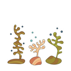 Wall Mural - Underwater world, plants, corals. Elements for design, decoration of your project.