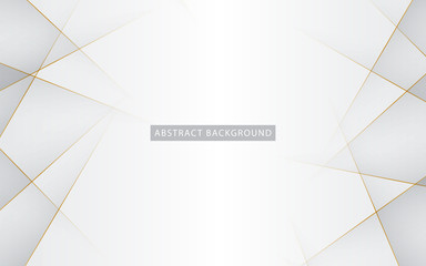 Wall Mural - modern abstract light silver background vector. elegant concept design with golden line.