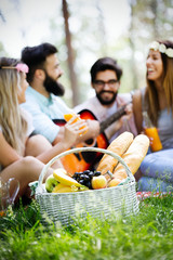 Happy young friends having picnic in the park