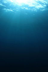 Canvas Print - Underwater blue background vertical 