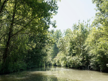 Marais Poitevin. Site De France. Paysage Verdoyant De La Venise Verte Sous Les Frènes Et Peupliers Le Long D'un Canal