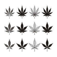 Silhouette Vintage Retro Cbd Cannabis Marijuana Hemp Leaf Farm Cultivation Logo Design