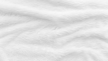 fur background with white soft fluffy furry texture hair cloth of sheepskin for blanket and carpet i