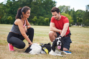 Wall Mural - Couple and dog resting after workout on the fresh air