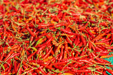 Wall Mural - red chili peppers, closeup view