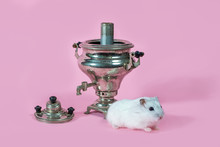 Mouse Rodent On A Pink Background With A Samovar. Russian Traditions Of Zoo Goods. Hamsters