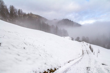 Wall Mural - bavarian winter scenery