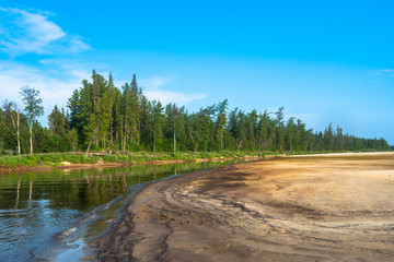 Sticker - river in the forest