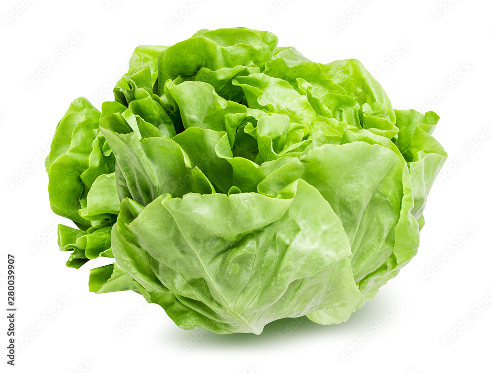 Fresh lettuce isolated on white background with clipping path - obrazy, fototapety, plakaty 