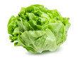 Fresh lettuce isolated on white background with clipping path