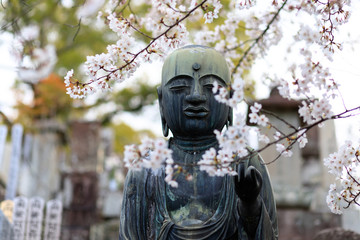 Wall Mural - Buddha face and cherry tree flowers