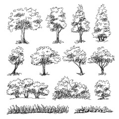 Wall Mural - Set of hand drawn architect trees. Sketch Architectural illustration landscape