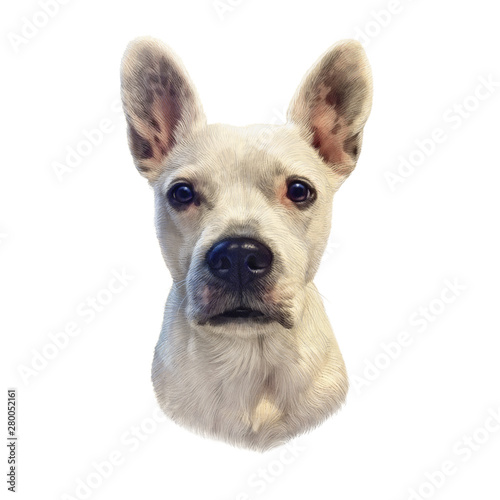 Argentine Dogo Cute Head Of A White Puppy Isolated On White Background Drawing In Realistic Style Portrait Dog Hand Drawing Illustration Animal Collection Dogs Good For Print On Pillow T Shirt Stock