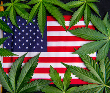 Detail Of Cannabis Leaves Framing The American Flag