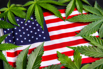 Detail of Cannabis leaves framing the American flag