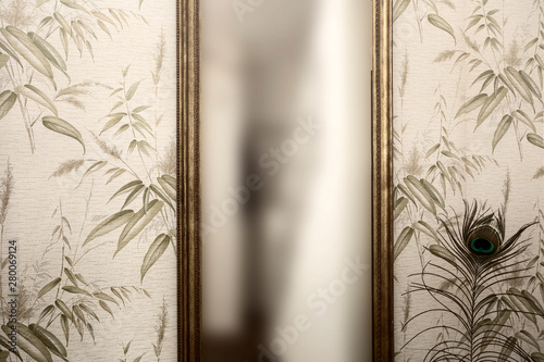 Long Vintage Mirror On Wall With Wallpaper And Peacock