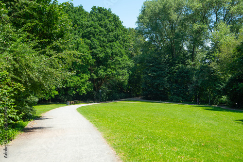 Fototapeta park park-landscape-summer-green-meadow-with-long-lane