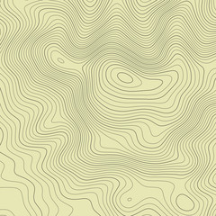  Topographic map lines background. Abstract vector illustration.