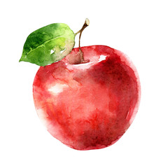 Wall Mural - Watercolor red apple isolated on white background